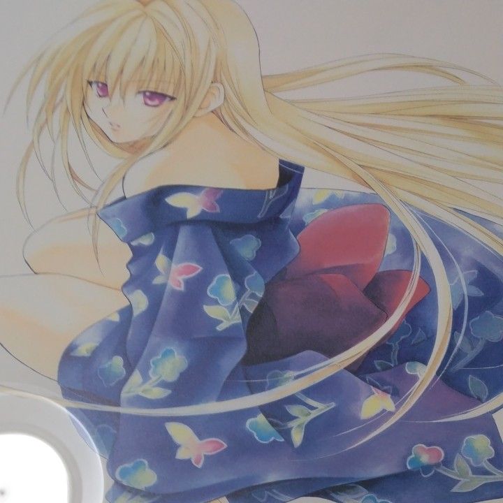 直筆サイン入り高級複製原画 矢吹健太朗 イヴ 金色の闇 black cat To