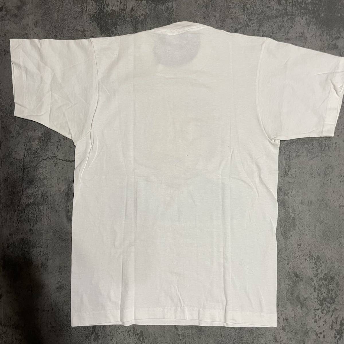 希少 USA製 超美品 80s 1989年製 ビンテージ アインシュタイン tシャツ