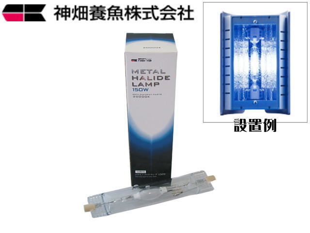 Yahoo!オークション - カミハタ ファンネル2 150W 交換球 20000k ブル