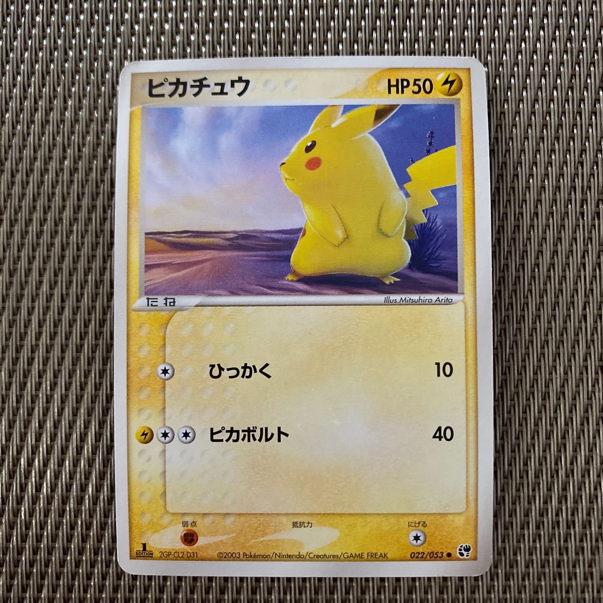 ポケパークのピカチュウ HP50 ポケパークのピカチュウ HP50