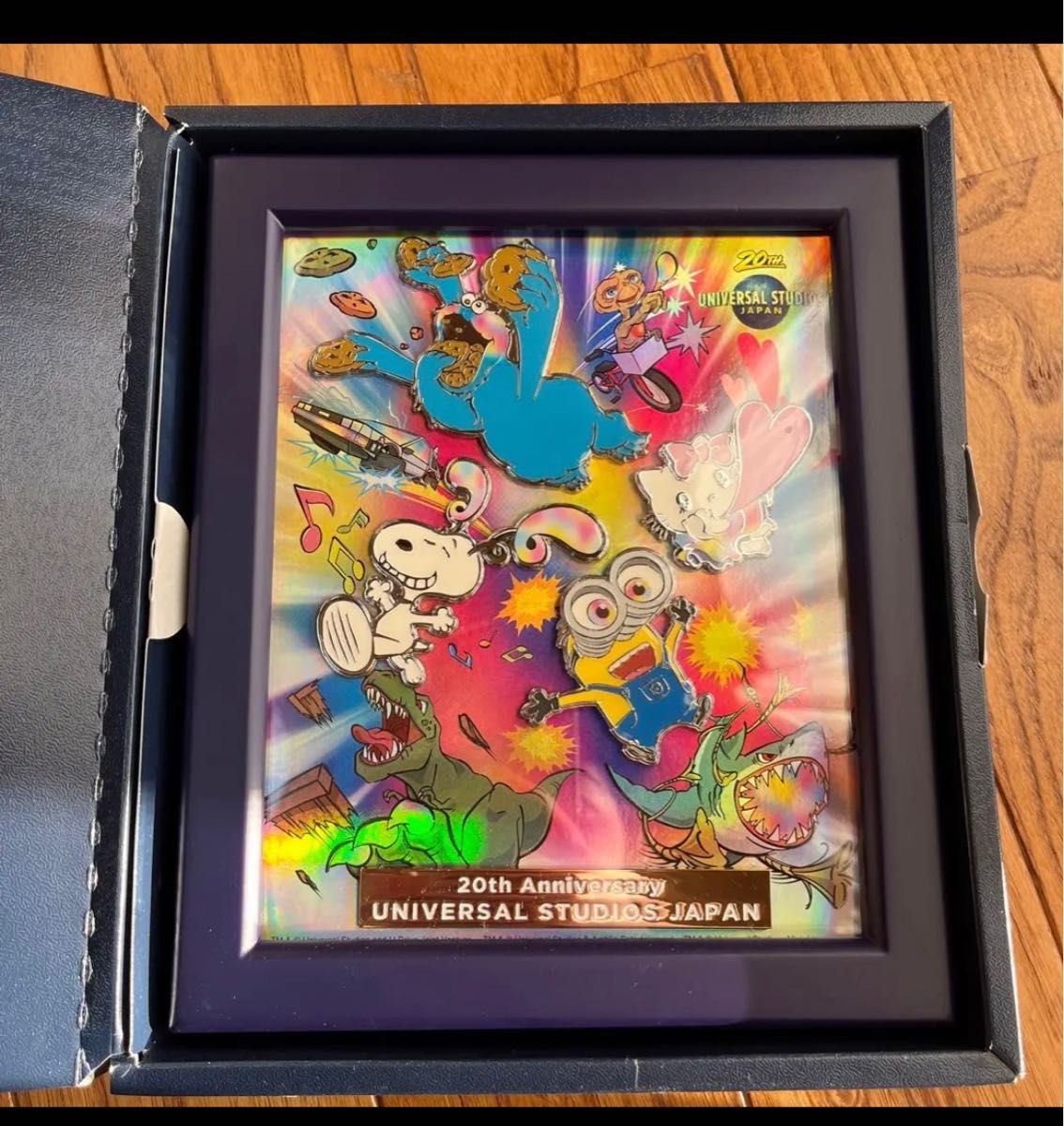 USJ 非売品 ピンバッジセット フレーム・外箱付き コレクタブル