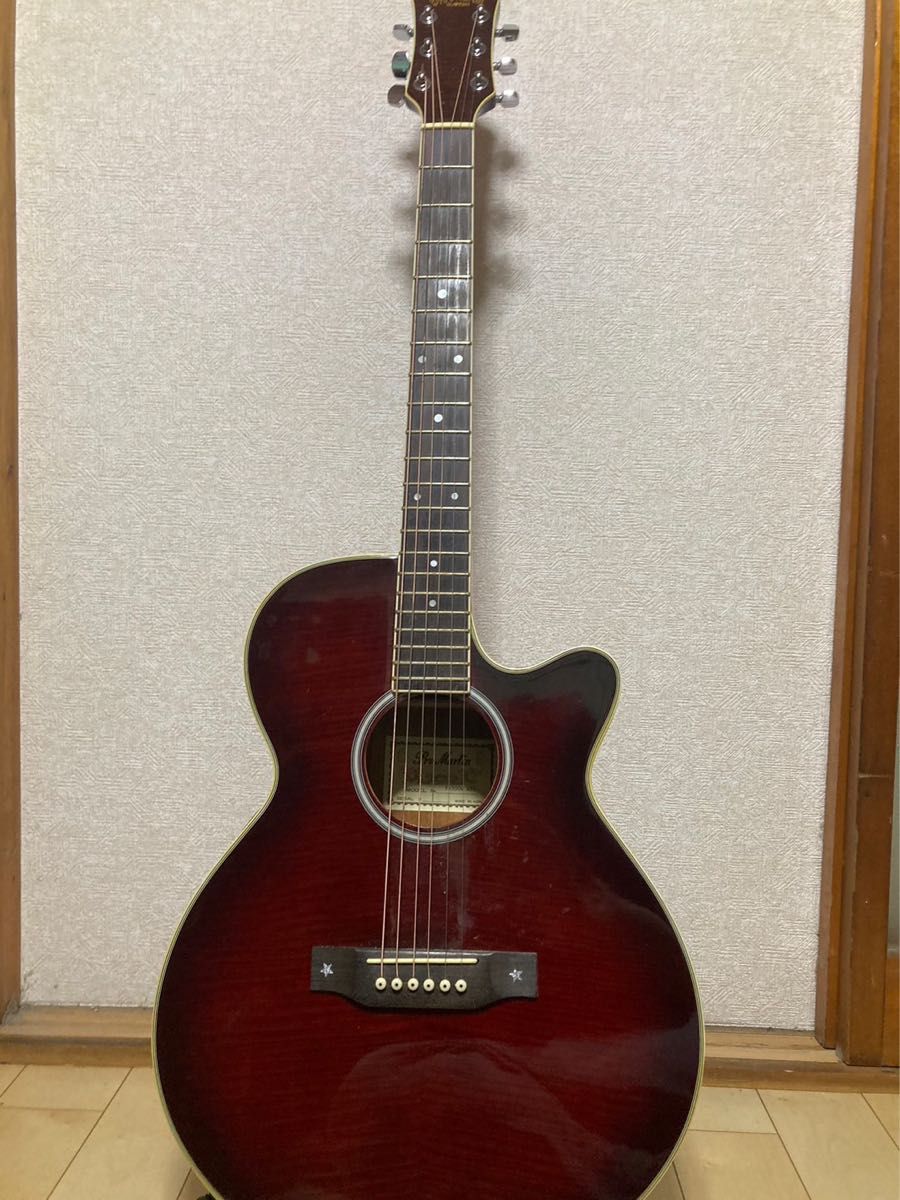 ☆Pro ProMartin/プロマーチン EA500W WRS エレアコ (619 ギター