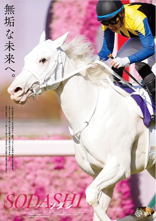 非売品】トウカイテイオー ポスター B2サイズ 競馬 ヒーロー列伝 ウマ