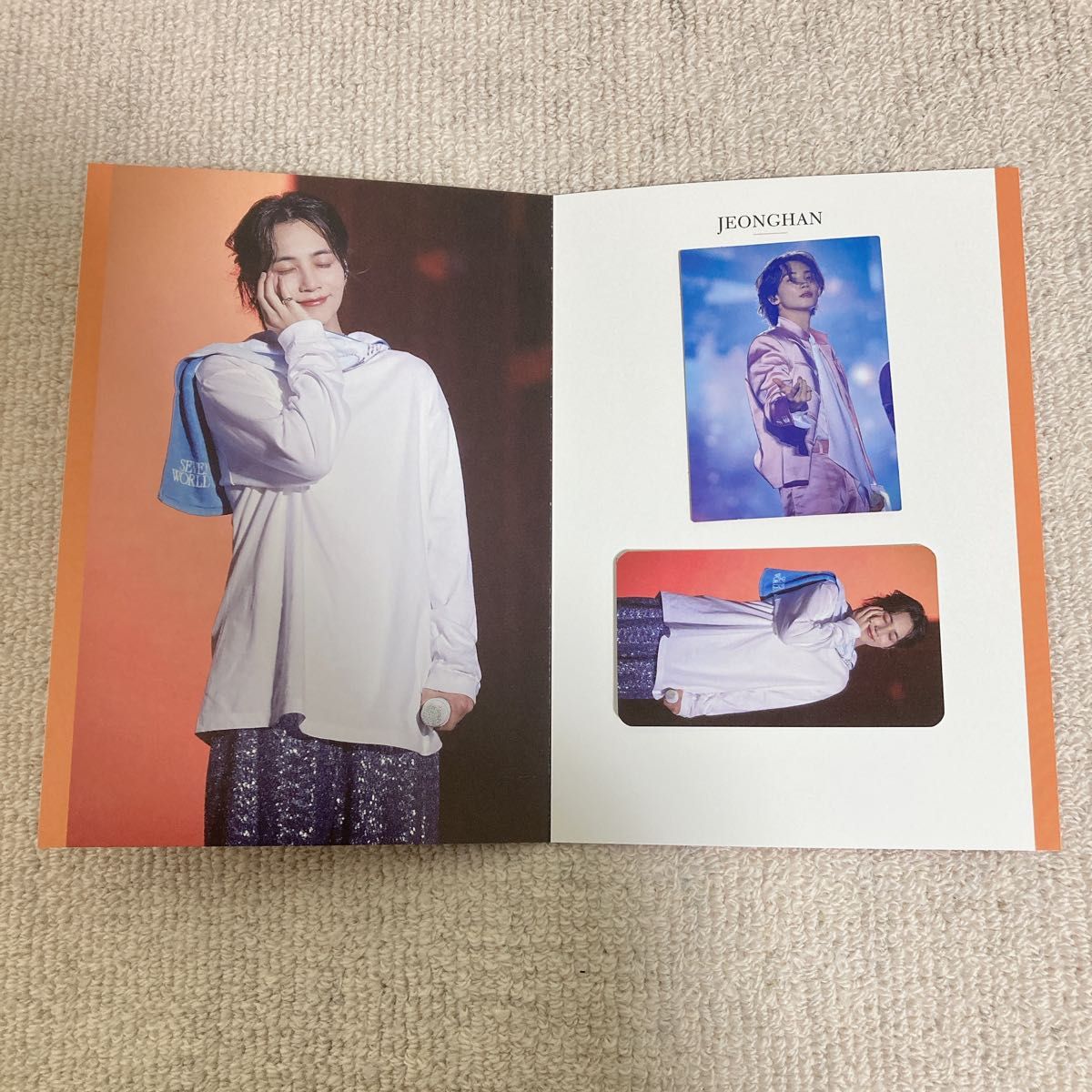 SEVENTEEN BETHESUN ラピート メモリアルカード ウォヌ トレカ