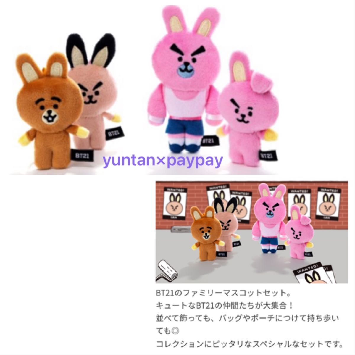 BT21 5周年 ファミリーマスコットセット COOKY クッキー ぬいぐるみ