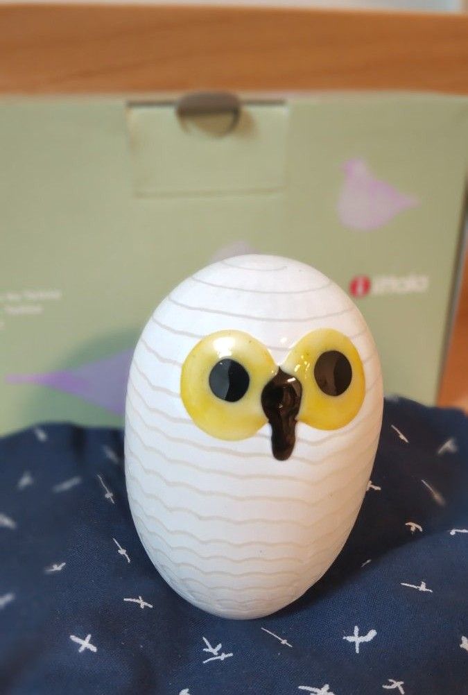 イッタラバードオウルNorthern owl white Birds