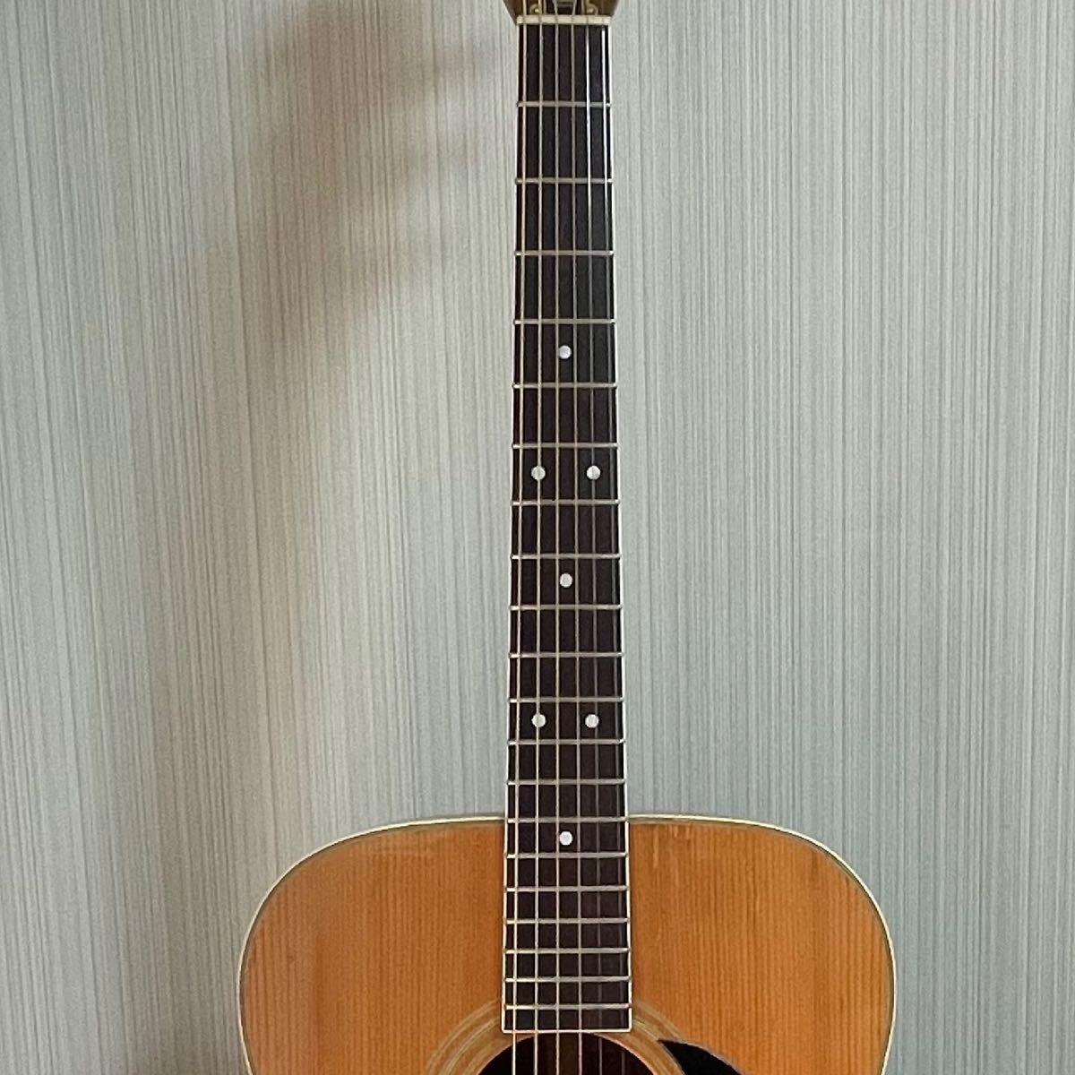 Morris w30 ビンテージ Morris W-30 1979年製 Acoustic Guitar Made in