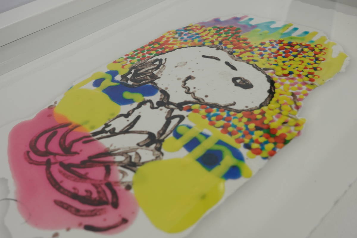 TOM EVER HART スヌーピーアートパズル