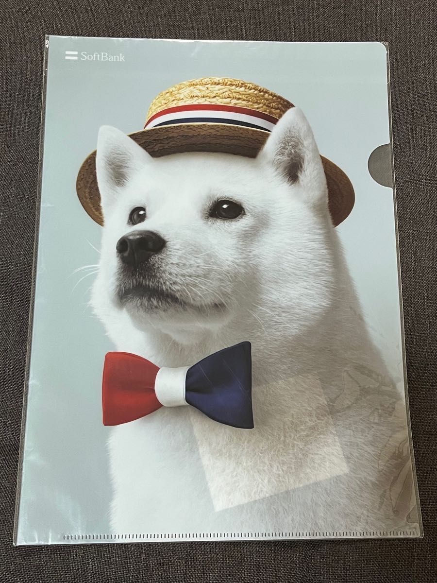 非売品】ソフトバンク お父さん犬 A4クリアファイル｜Yahoo!フリマ（旧