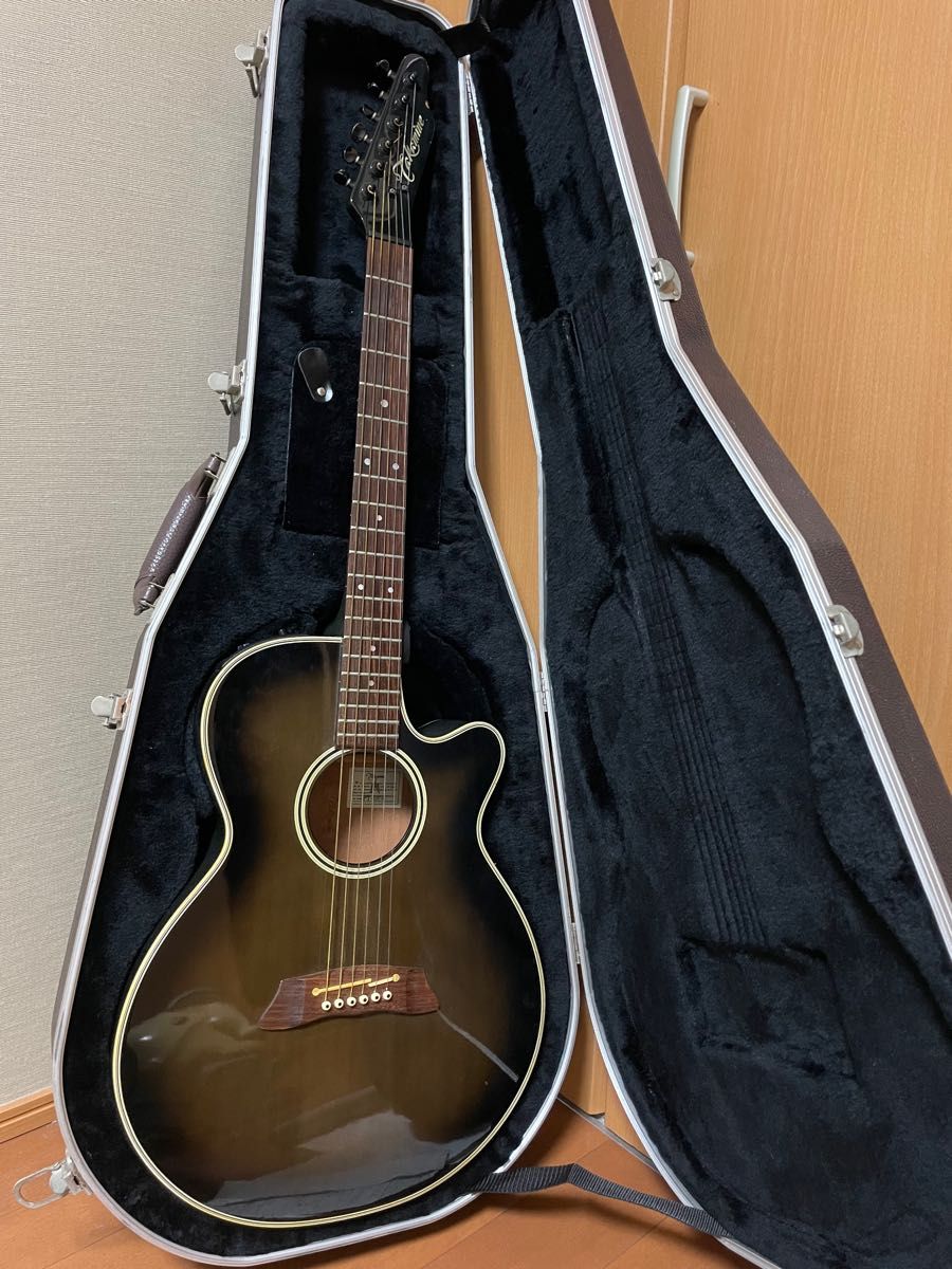 TAKAMINE PT-106-6 6連シングルヘッド仕様 長渕剛 純正アコギハード