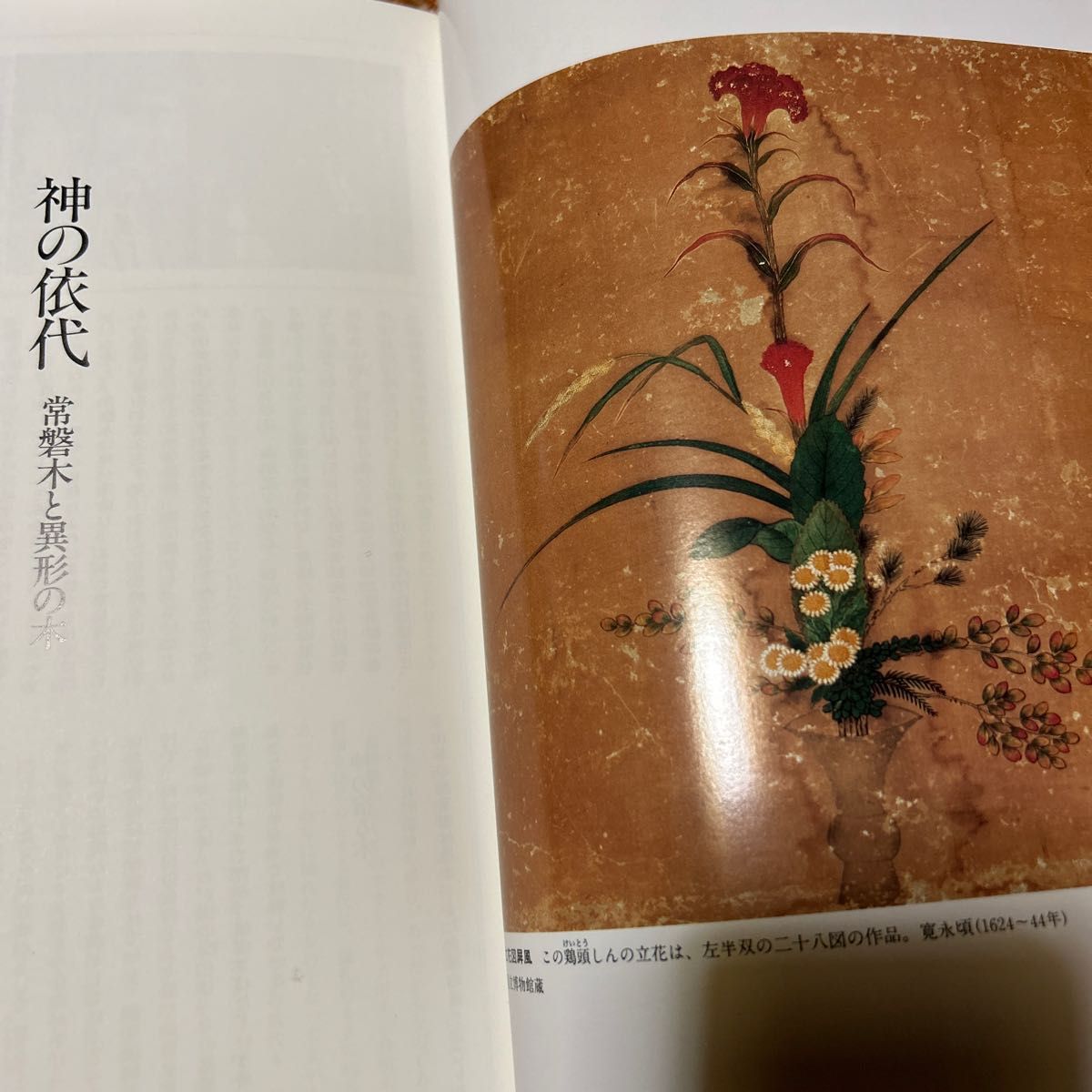 日本いけばな文化史 1 〜5セット（日本いけばな文化史 ） 工藤昌伸