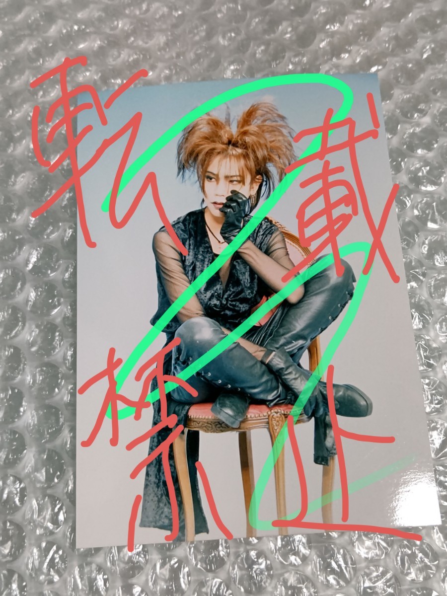 La:Sadie's Shinya 写真 ブロマイド 5 /検 DIR EN GREY DIRT Tシャツ