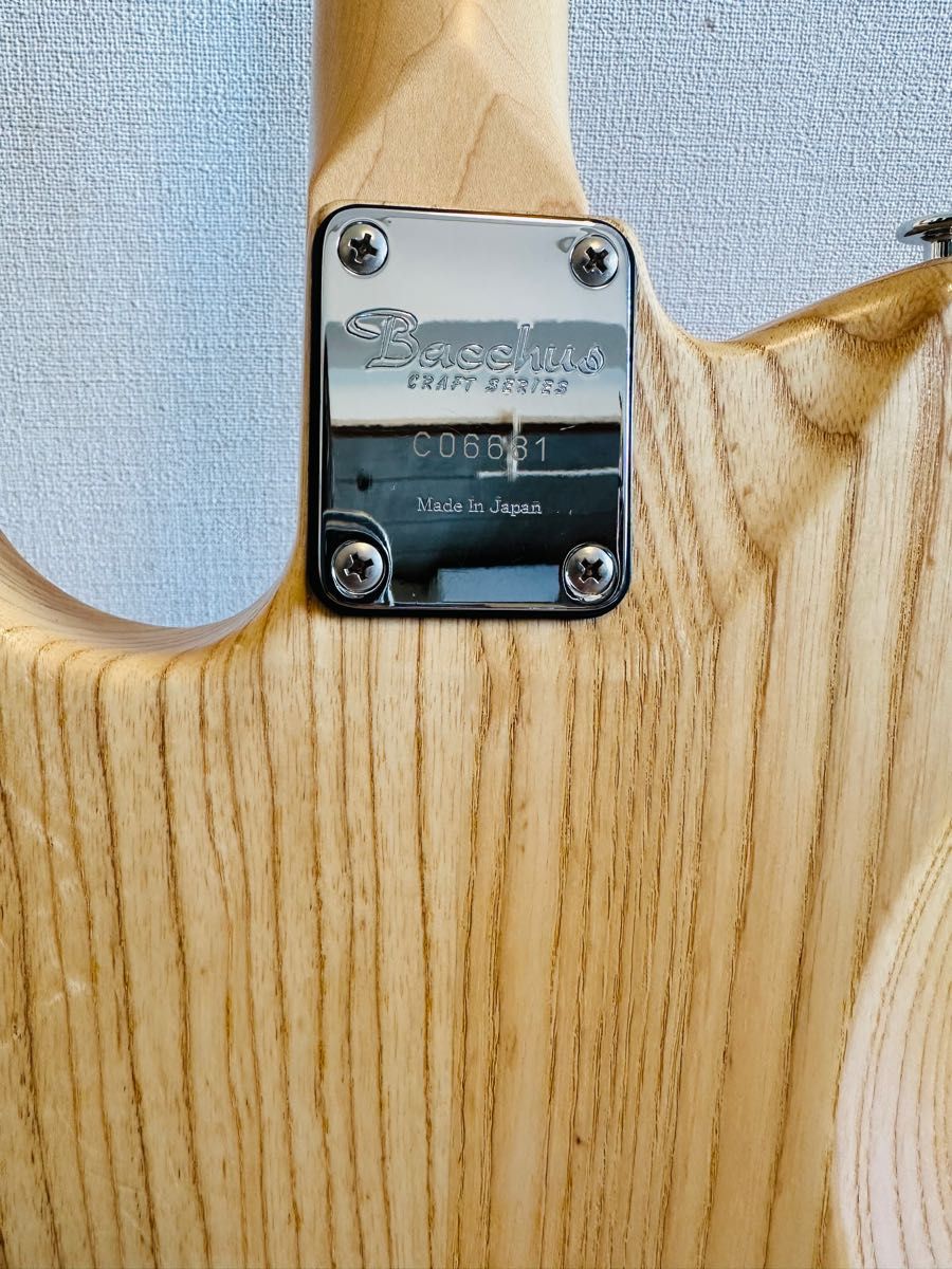 Bacchus テレキャスターHand Crafted Equipment｜Yahoo!フリマ（旧