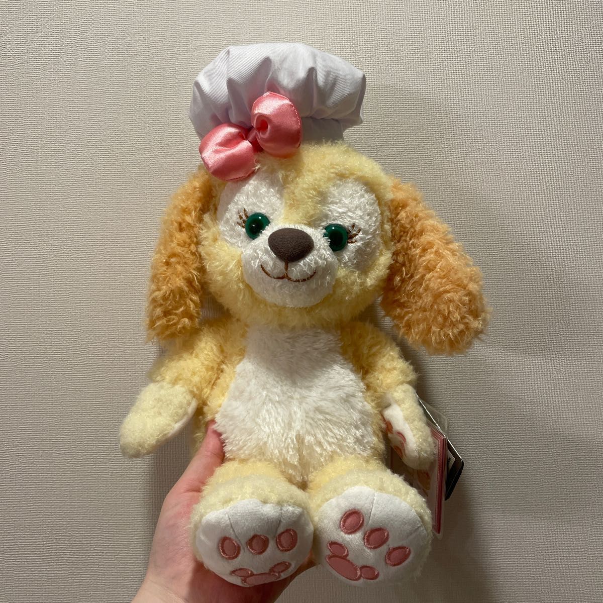 専用 上海ディズニー サマー クッキーアン ぬいぐるみSSサイズ5204