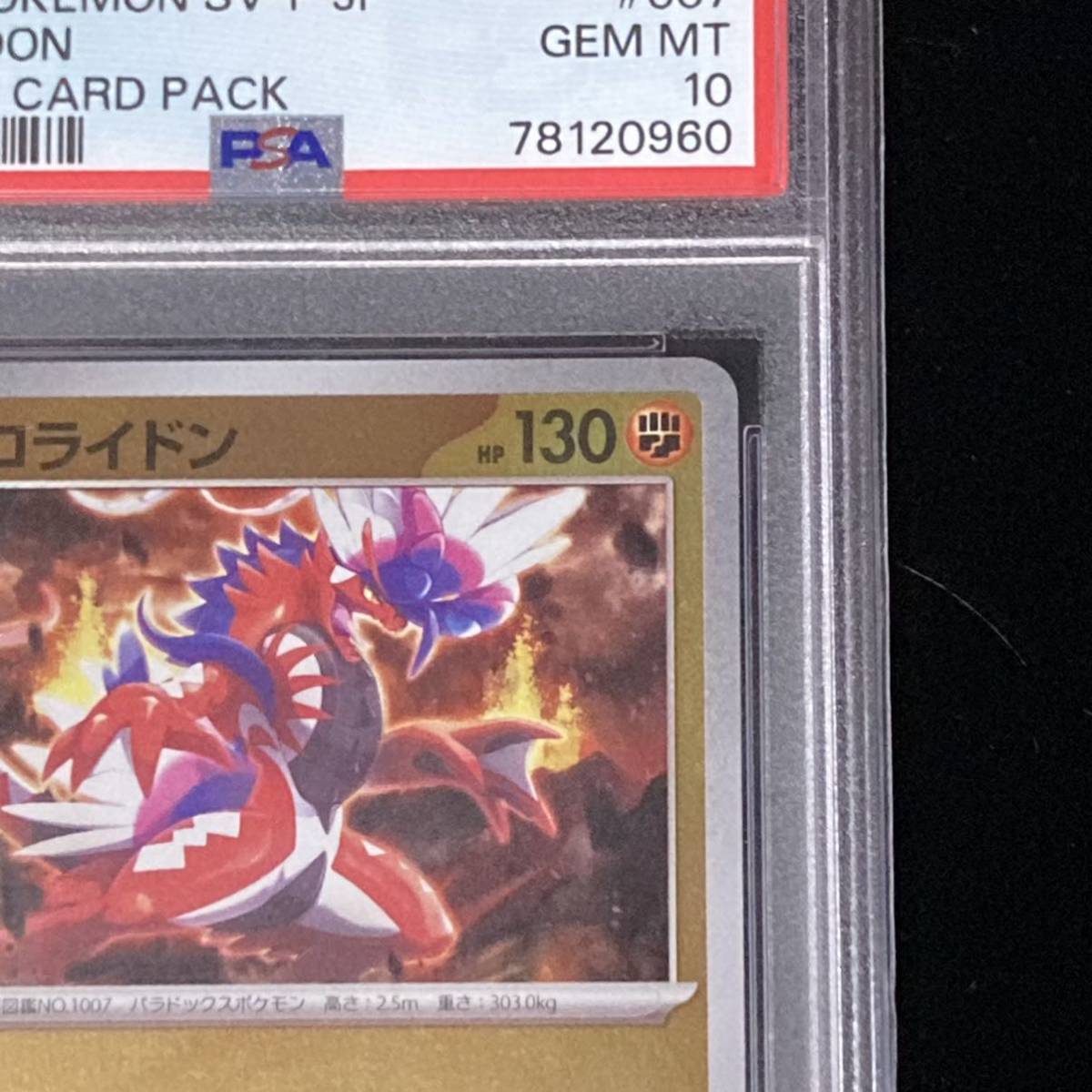 PSA 10 ポケモンカード プロモーションカード PROMO コライドン 鑑定品