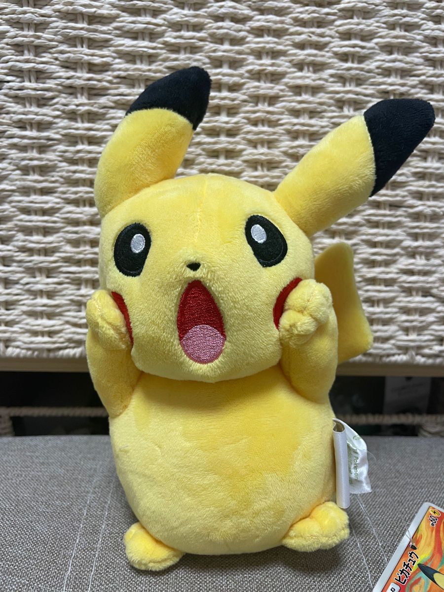 ムンクピカチュウ ぬいぐるみ