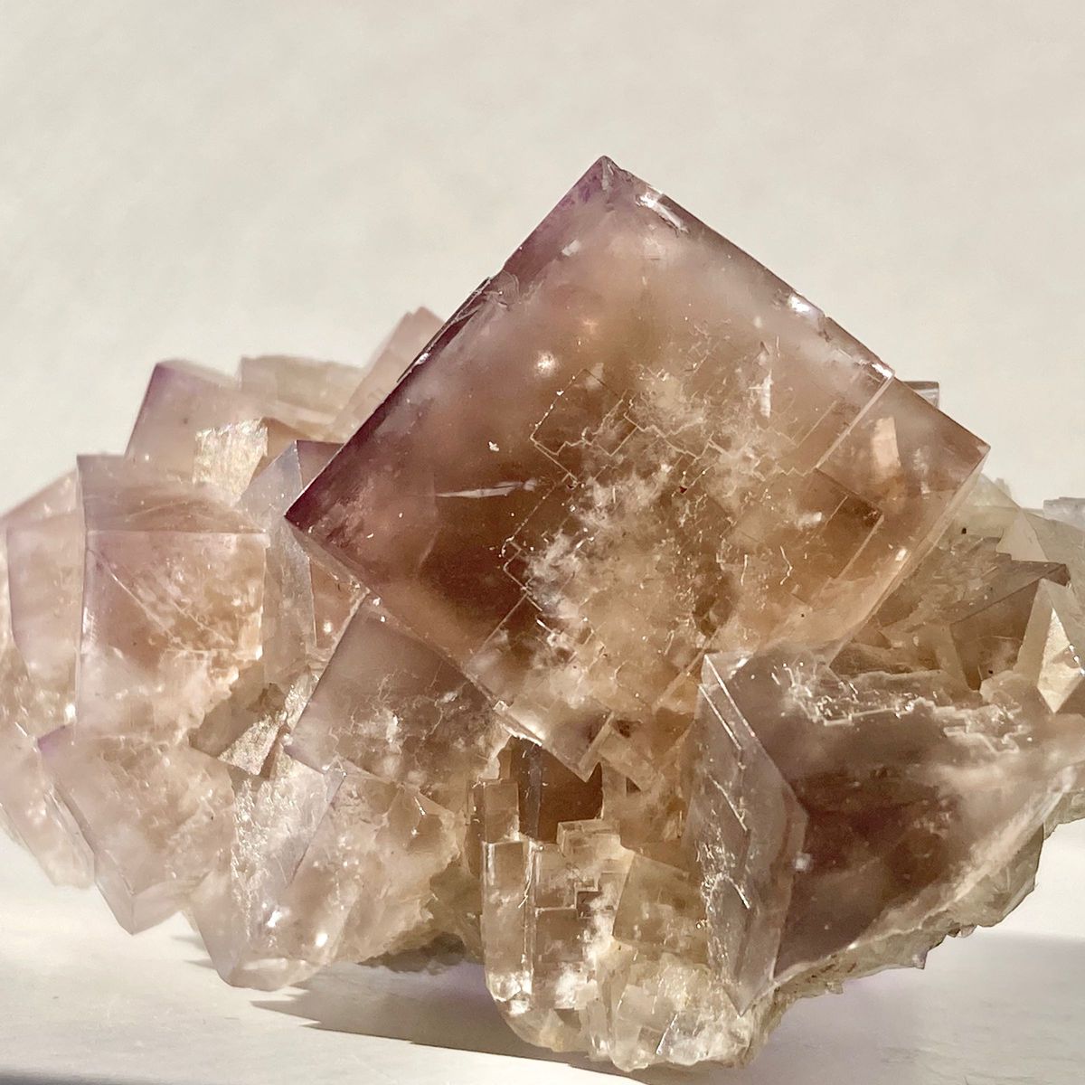 497 イギリス レディアナベラ鉱山 シュガープラムポケット フロー