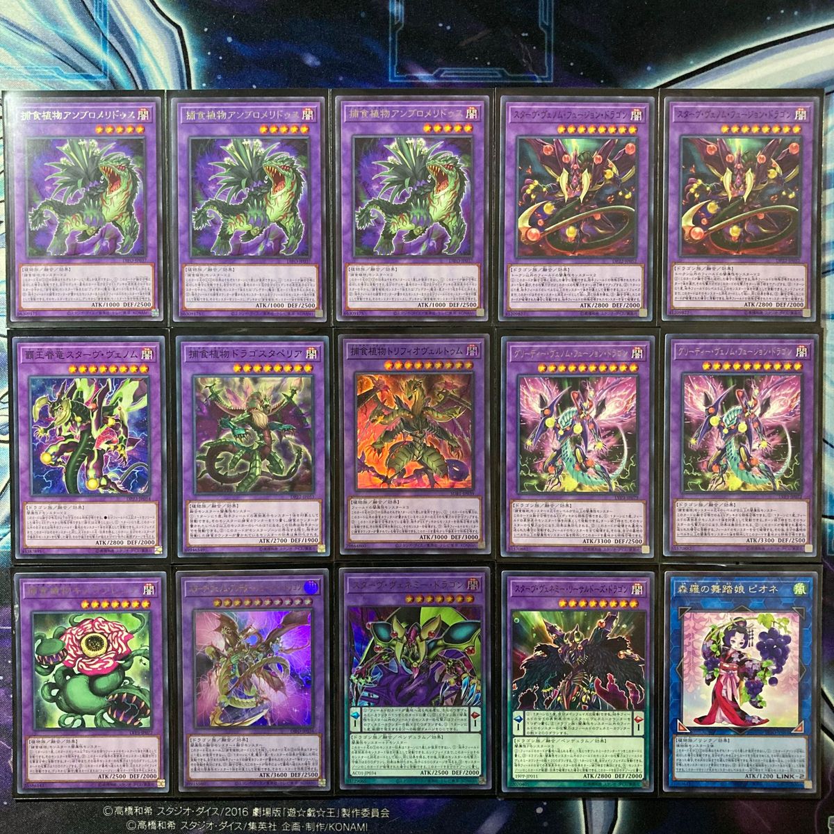 遊戯王 捕食植物デッキ メイン40エクストラ15 スリーブ付 ドラゴスタ