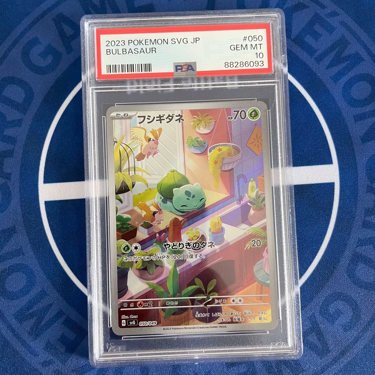 PSA10 3枚セット ヒトカゲ ゼニガメ フシギダネ ポケモンカード PSA10