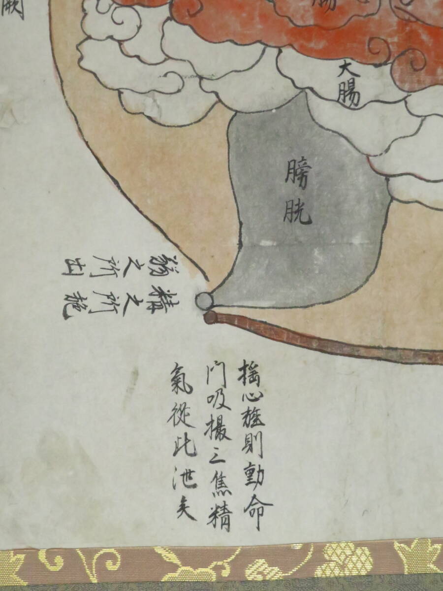 慶應◇江戸時代肉筆古画 紙本著色『人体解剖図』掛軸 医学図書 貴重な