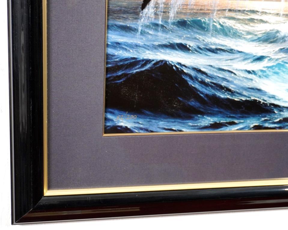 美品］アンソニーキャセイ ゴールデンテール 美品］アンソニーキャセイ