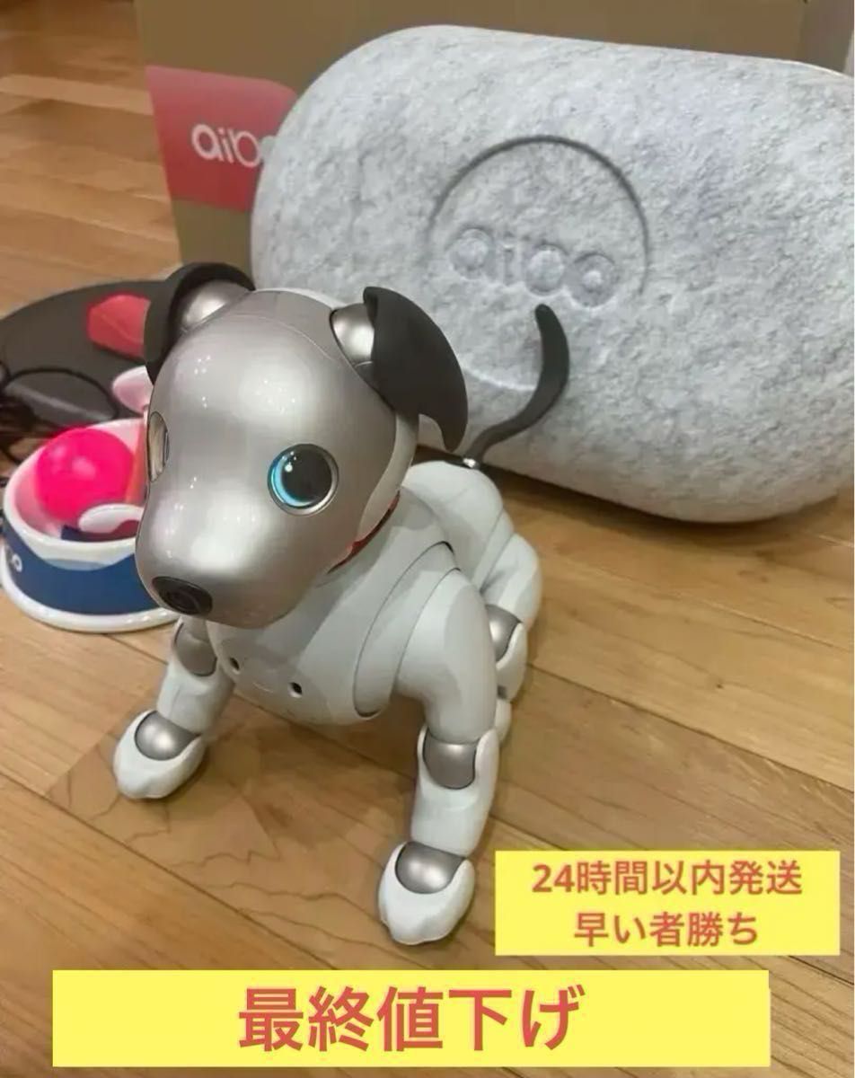 SONY ソニー ERS-1000 aibo アイボ バーチャルペット アイボ本体 最終