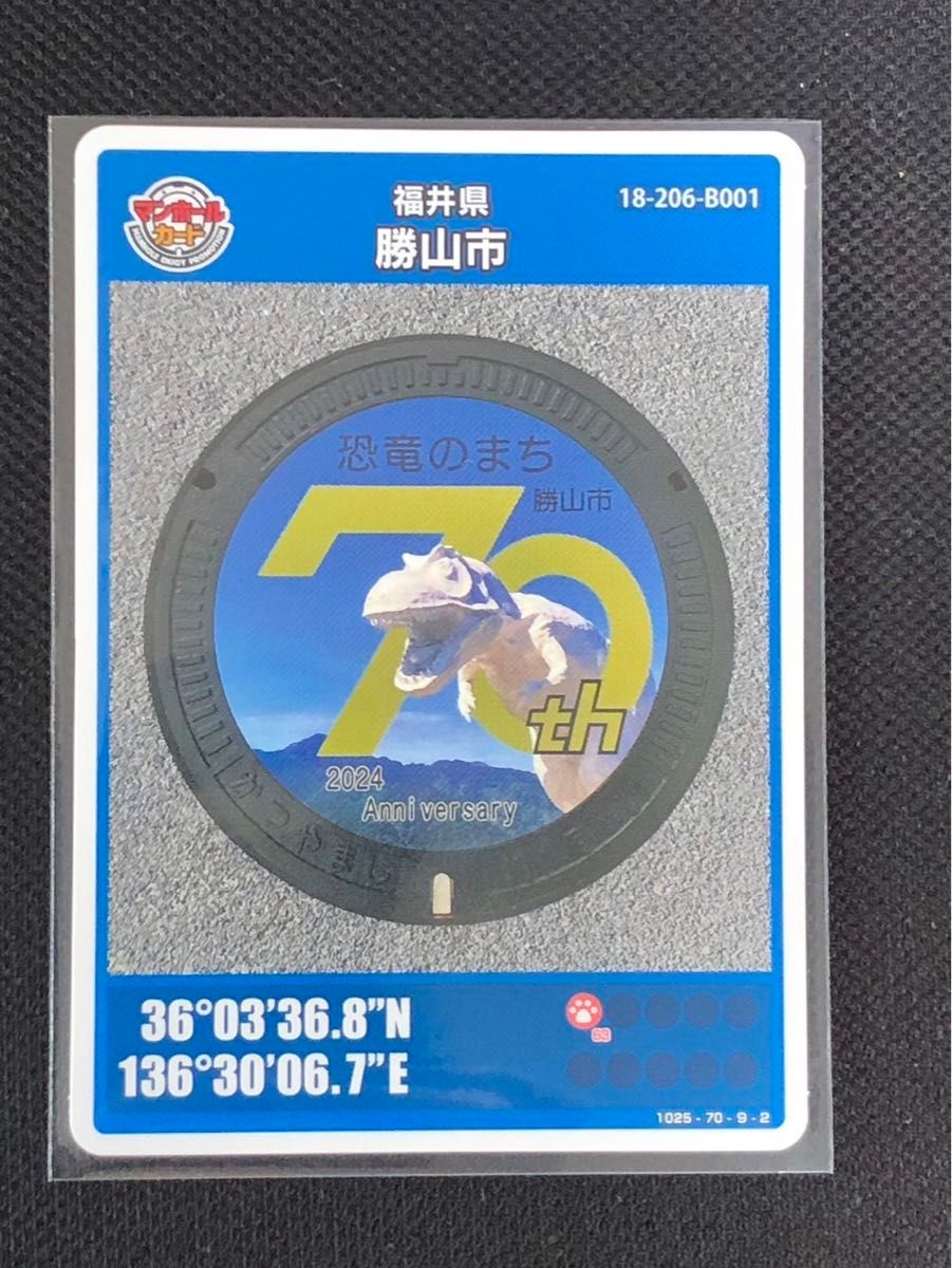 マンホールカード 第22弾 福井県 勝山市 初期ロット 001 かつやま 1枚