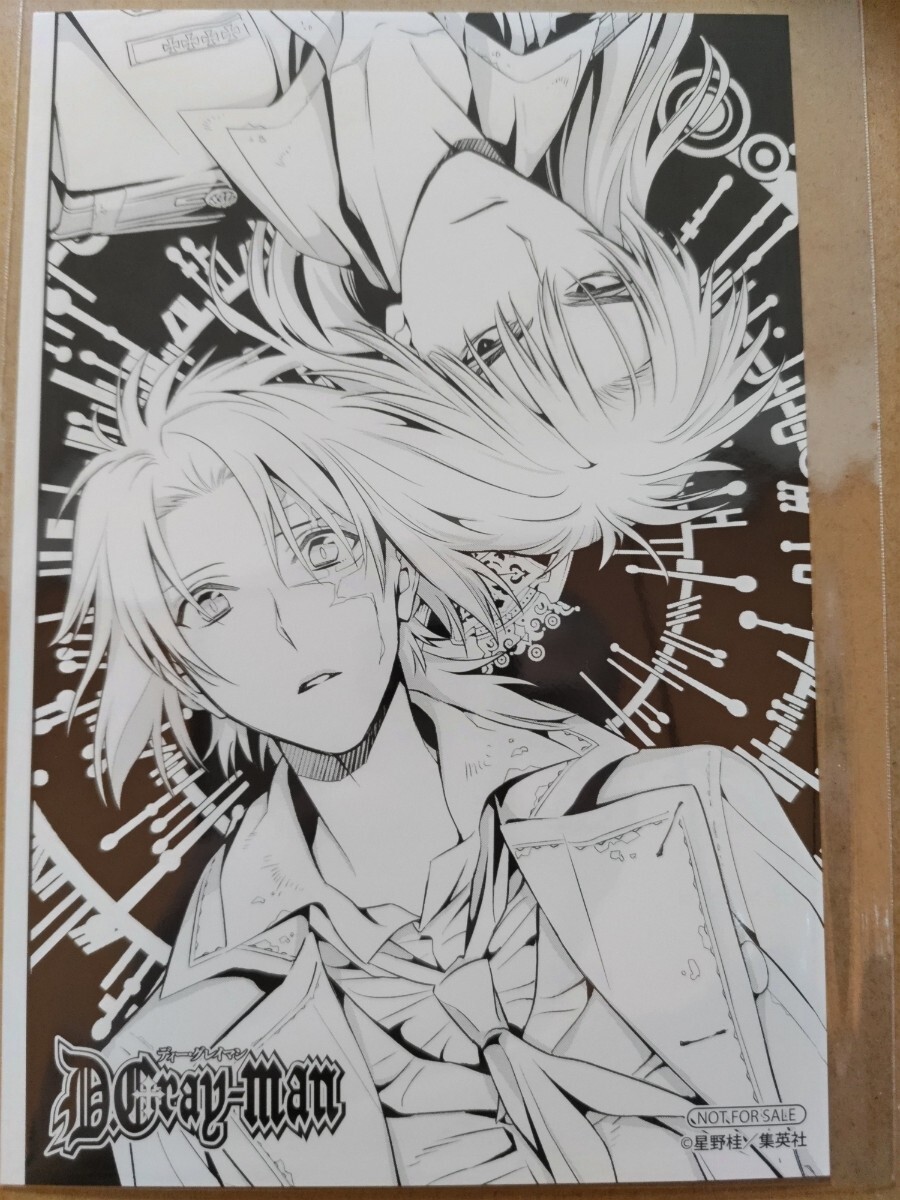 星野桂】D Gray-man（ディー・グレイマン） イラストカード