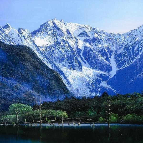 油彩画 坪井 志朗・大正池(Ⅰ) F20号 肉筆画 (表サイン・裏書き有り）