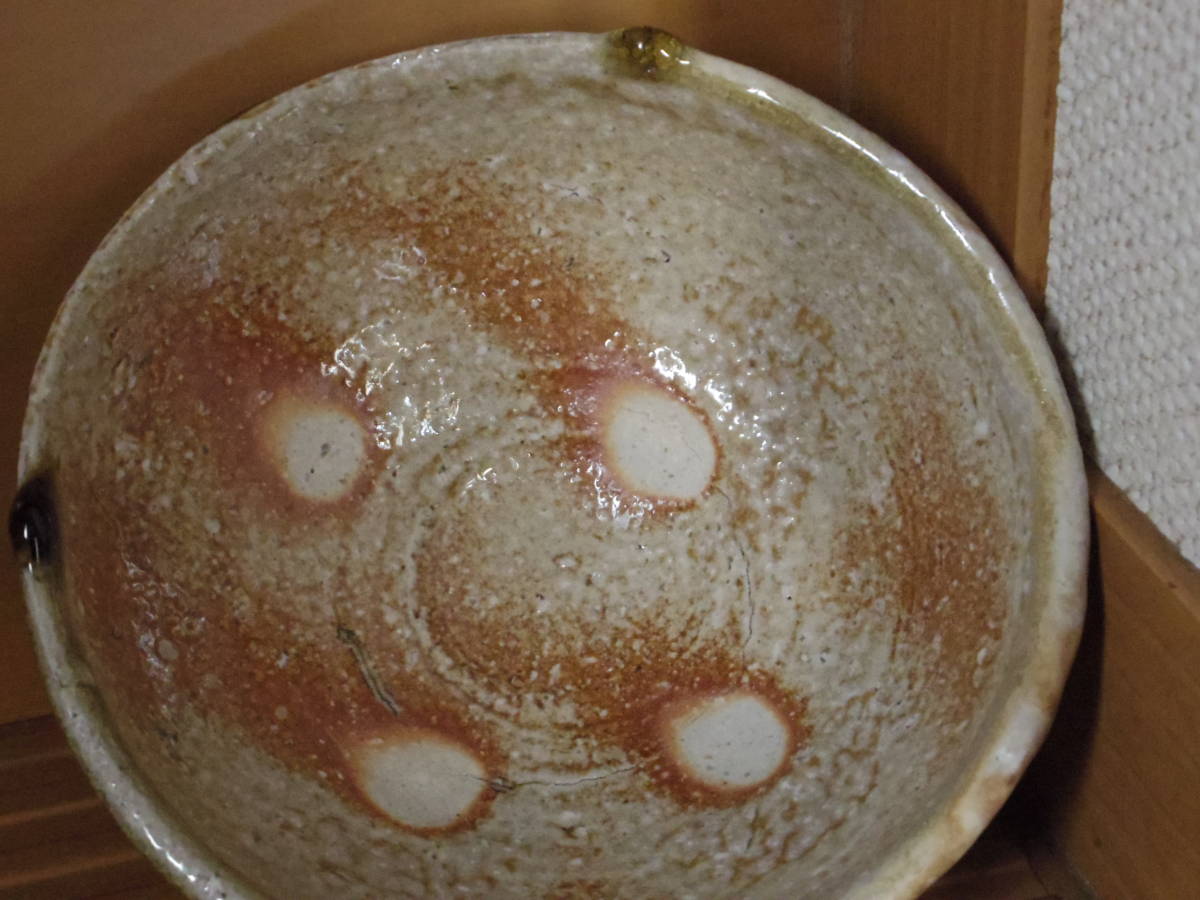 今千春【師：辻清明】☆信楽茶碗☆共箱・布・栞 【公式通販】