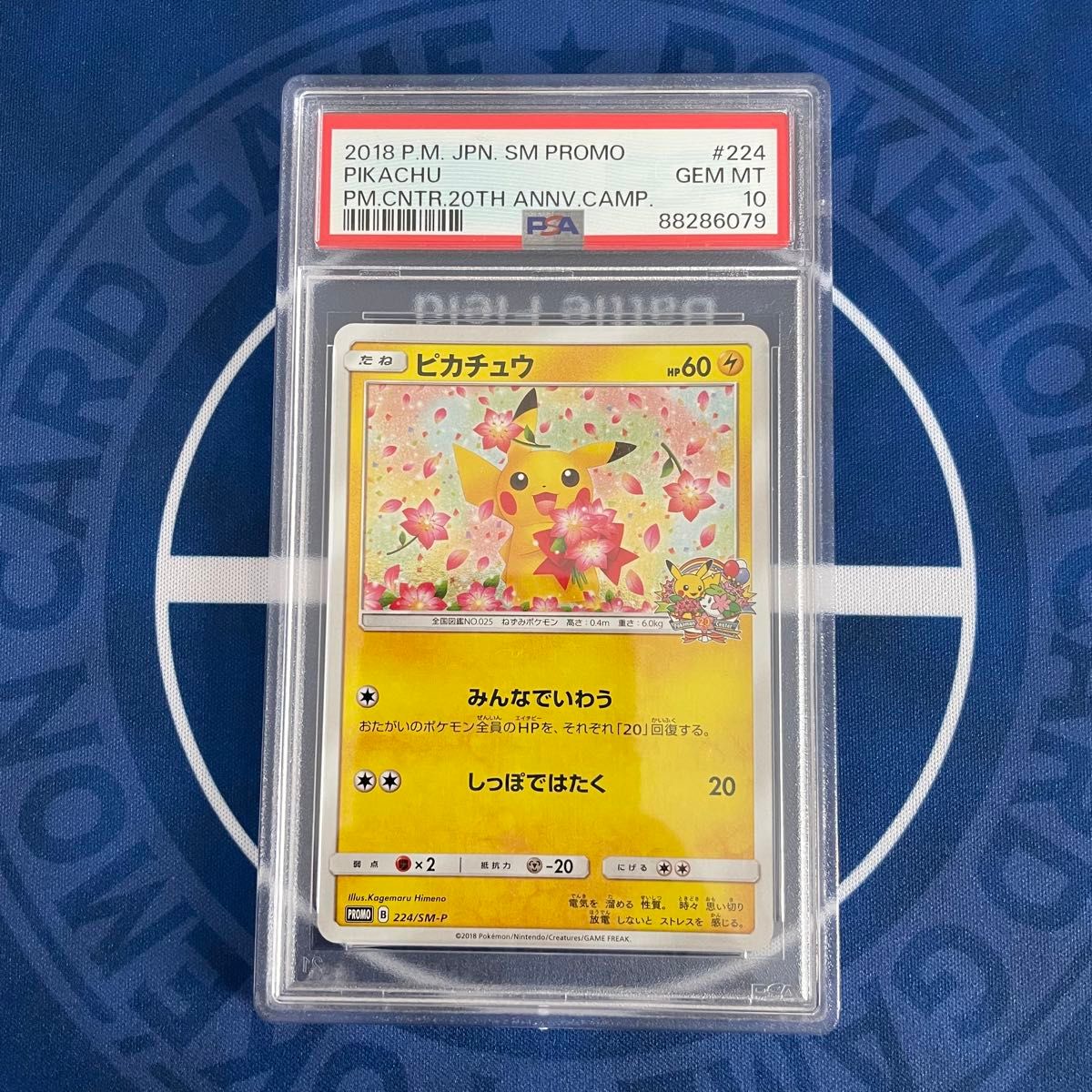 レッドのピカチュウ：ポケモンセンター 公式 オープン20周年記念 PROMO