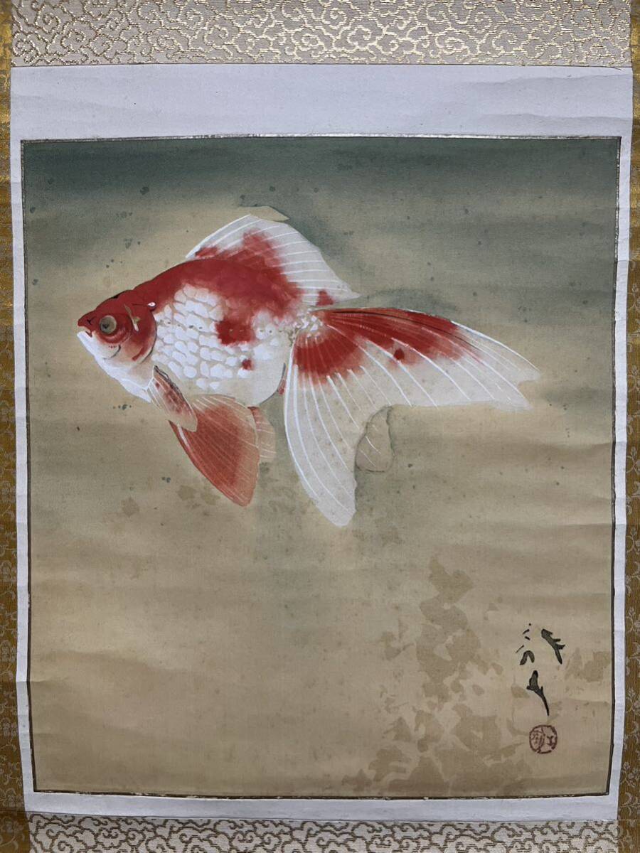 絵画 肉筆 金魚 中国美術 汪亞塵 肉筆画 金魚 中国美術 汪亞塵 肉筆画