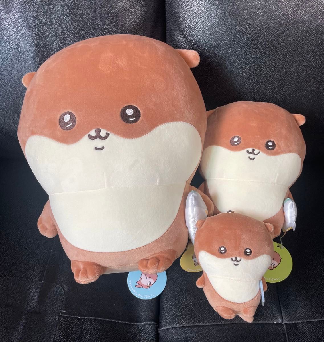 ナガノのカワウソぬいぐるみくじ B賞・C賞・D賞 各1個 カワウソくじ