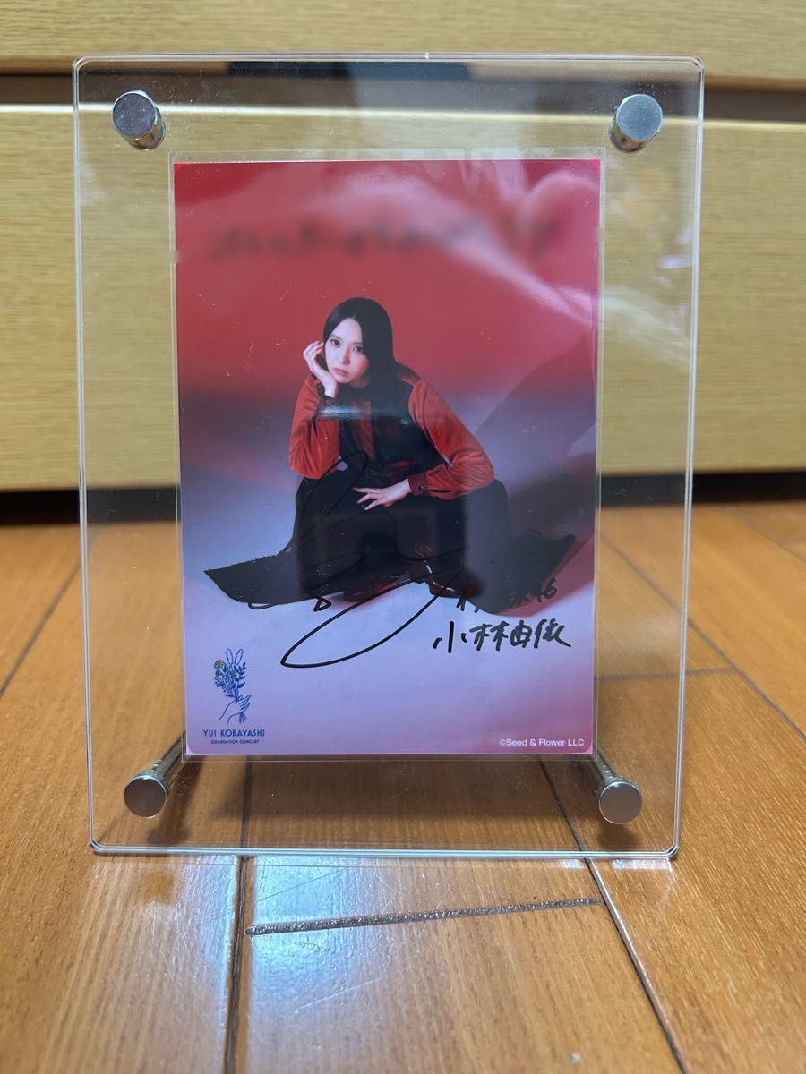 小林由依 卒コン 直筆サイン 生写真 小林由依 卒コン 直筆サイン 生写真