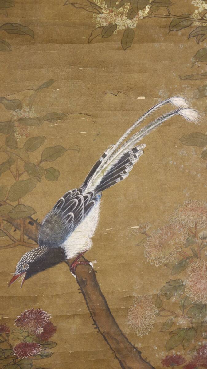 作者不詳 中国絹本 花鳥大主軸 中国書画精華—宋・元時代の名品