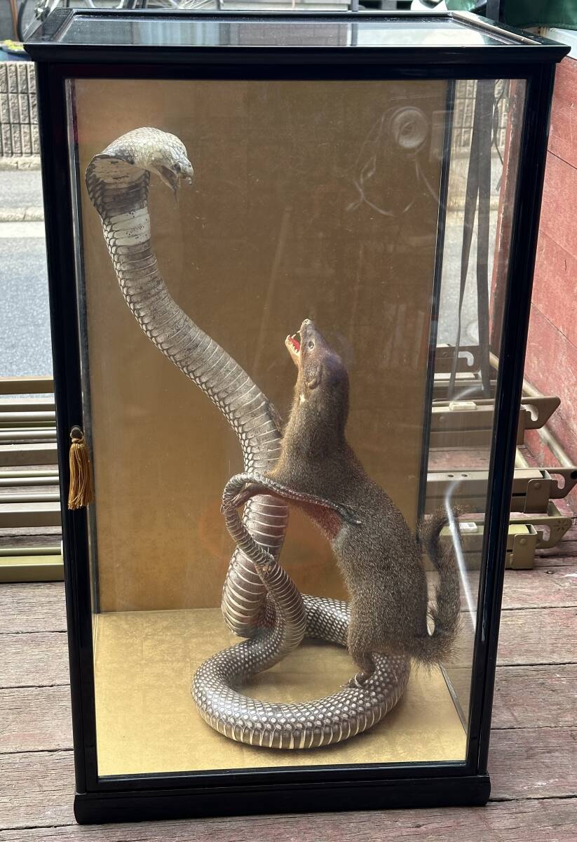 懐かしのコブラン 全バラ済み ジャンク 懐かしのコブラン 全バラ済み