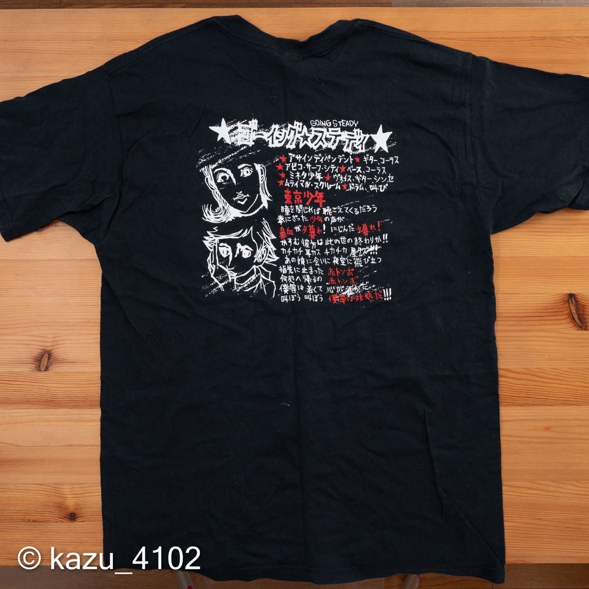 GOING STEADY ゴイ ステ Tシャツ Lサイズ [ 銀杏BOYZ 峯田和伸