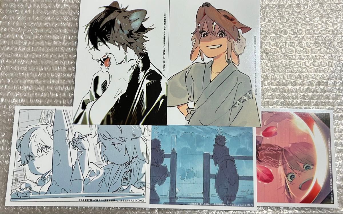 狼への嫁入り 犬居葉菜 カフェ 特典カード Amazon.co.jp: 狼への嫁入り