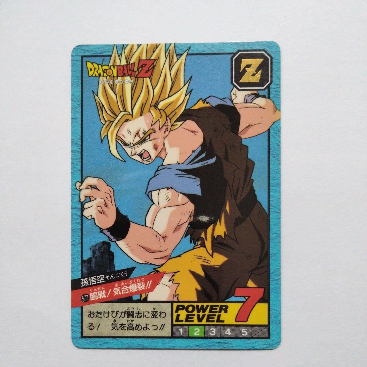 黒箱 Ver.】1995 ドラゴンボール 本弾パート13No.507カードダス 黒箱