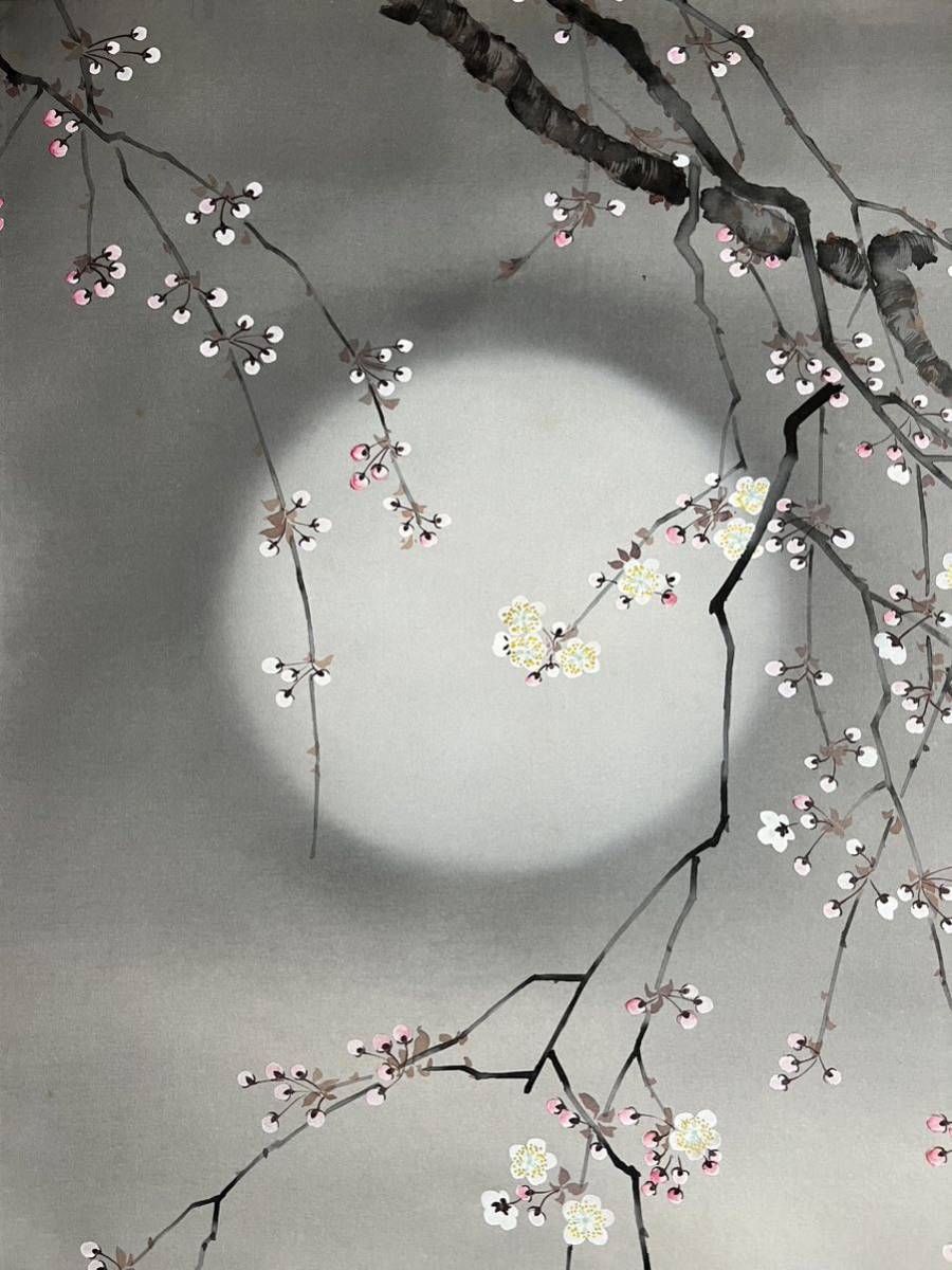 朧月夜桜図】今井景樹 2702 おぼろ月 さくら 共箱 肉筆 掛け軸 朧月夜