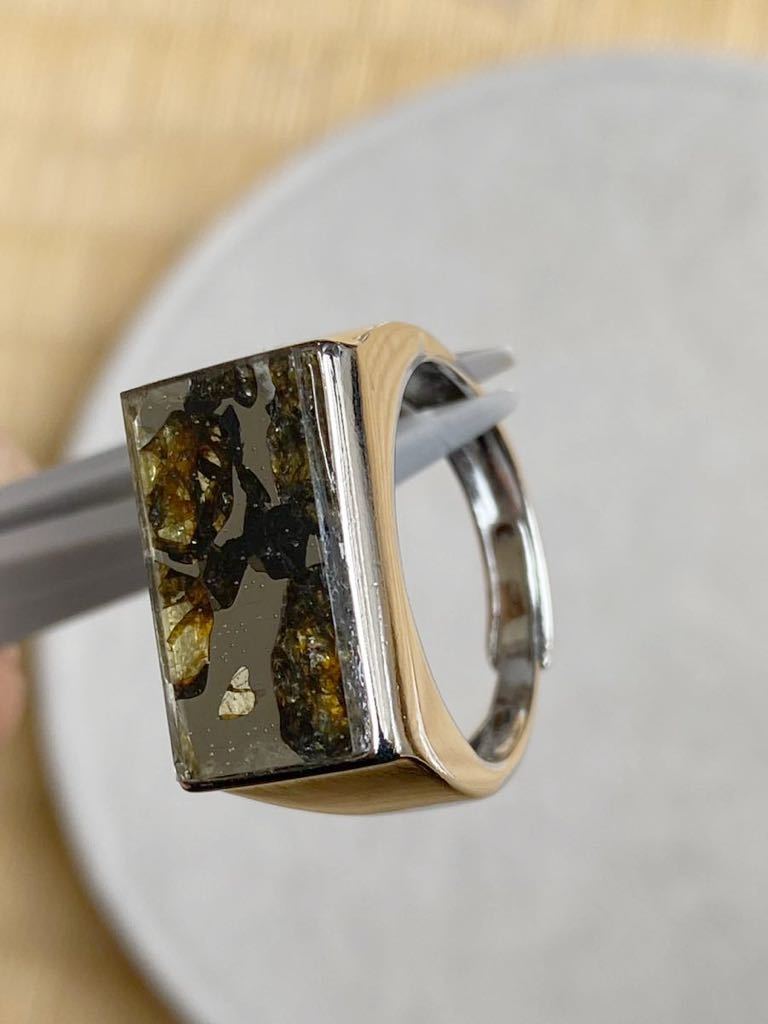 パラサイト隕石の女王 イミラック隕石リングImilac 最高品質幸運