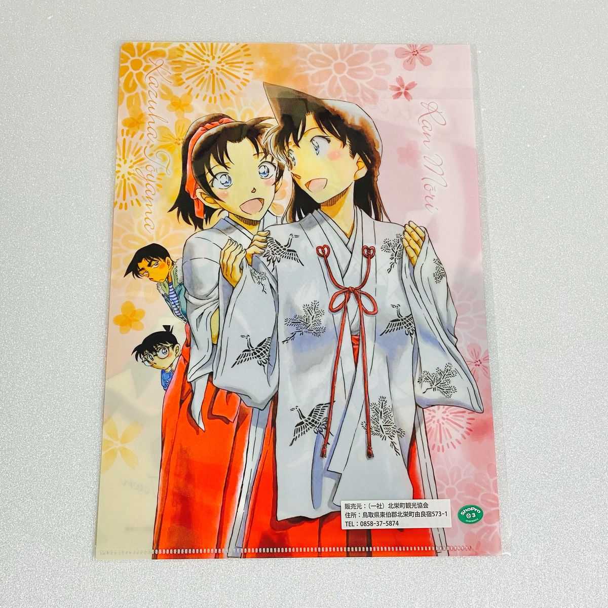 名探偵コナン 鳥取 北栄町 由良駅 黒衣の騎士 新一 蘭 服部 ファイル