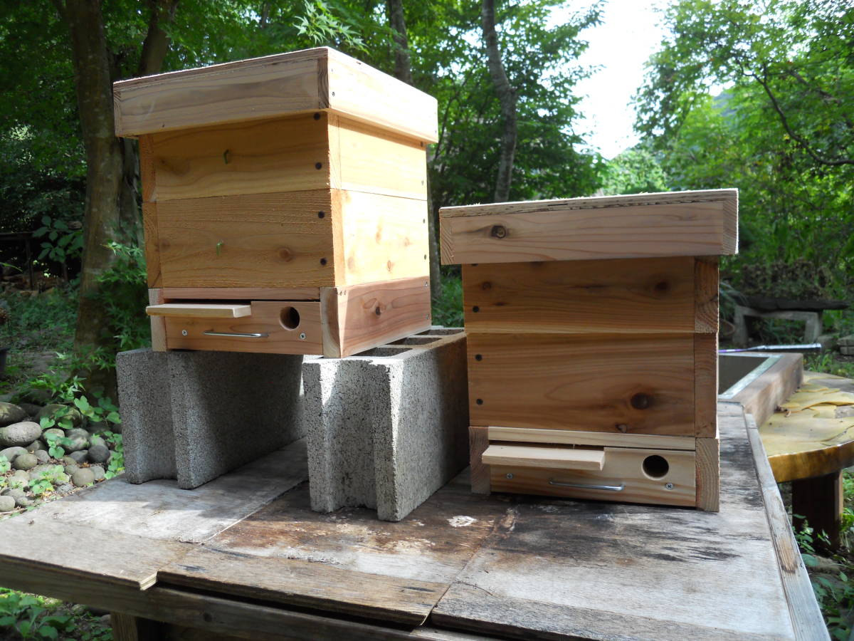 日本ミツバチの重箱式2段巣箱×2セット(待受用)