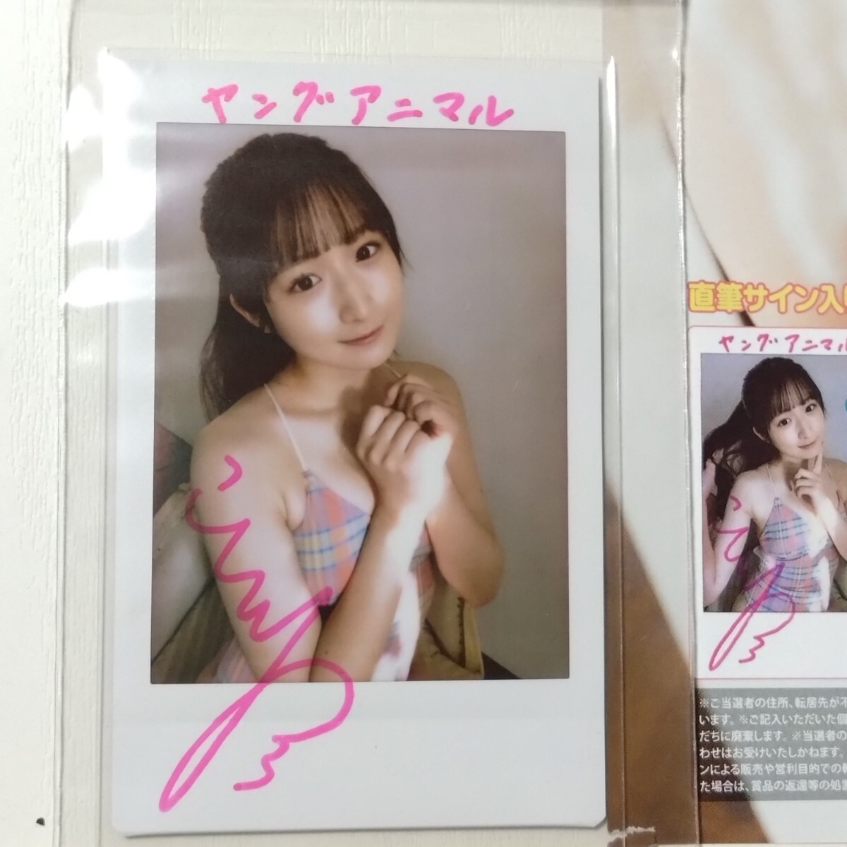 直筆】 暫 しばし サイン入チェキ ヤングチャンピオン烈 R7年3号【当選