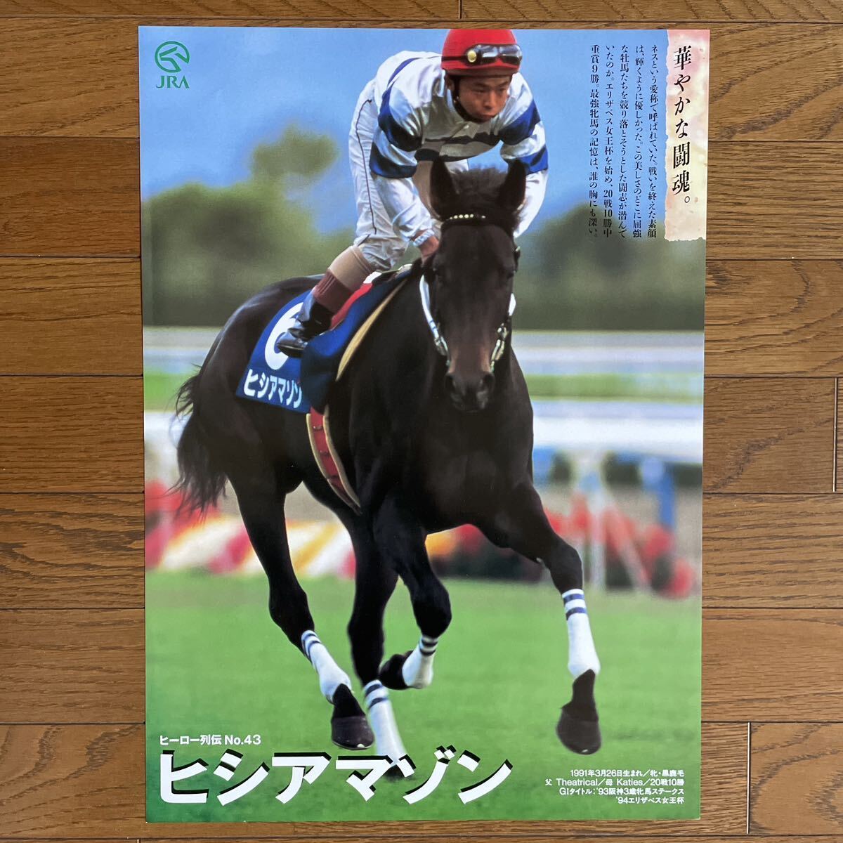 ヒシミラクル ヒーロー列伝 B3ポスター ヒシミラクル JRA ヒーロー