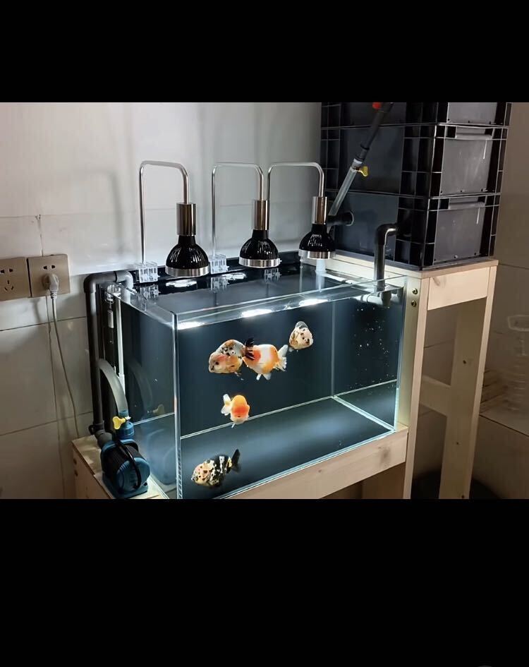 水中ポンプ25wろ材付きフルセット大型水槽万能濾過装置濾過外部式濾過