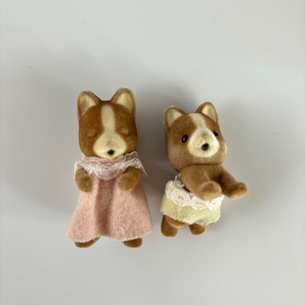 レアシルバニア！小学館マロン女の子 マロンイヌの女の子 入学