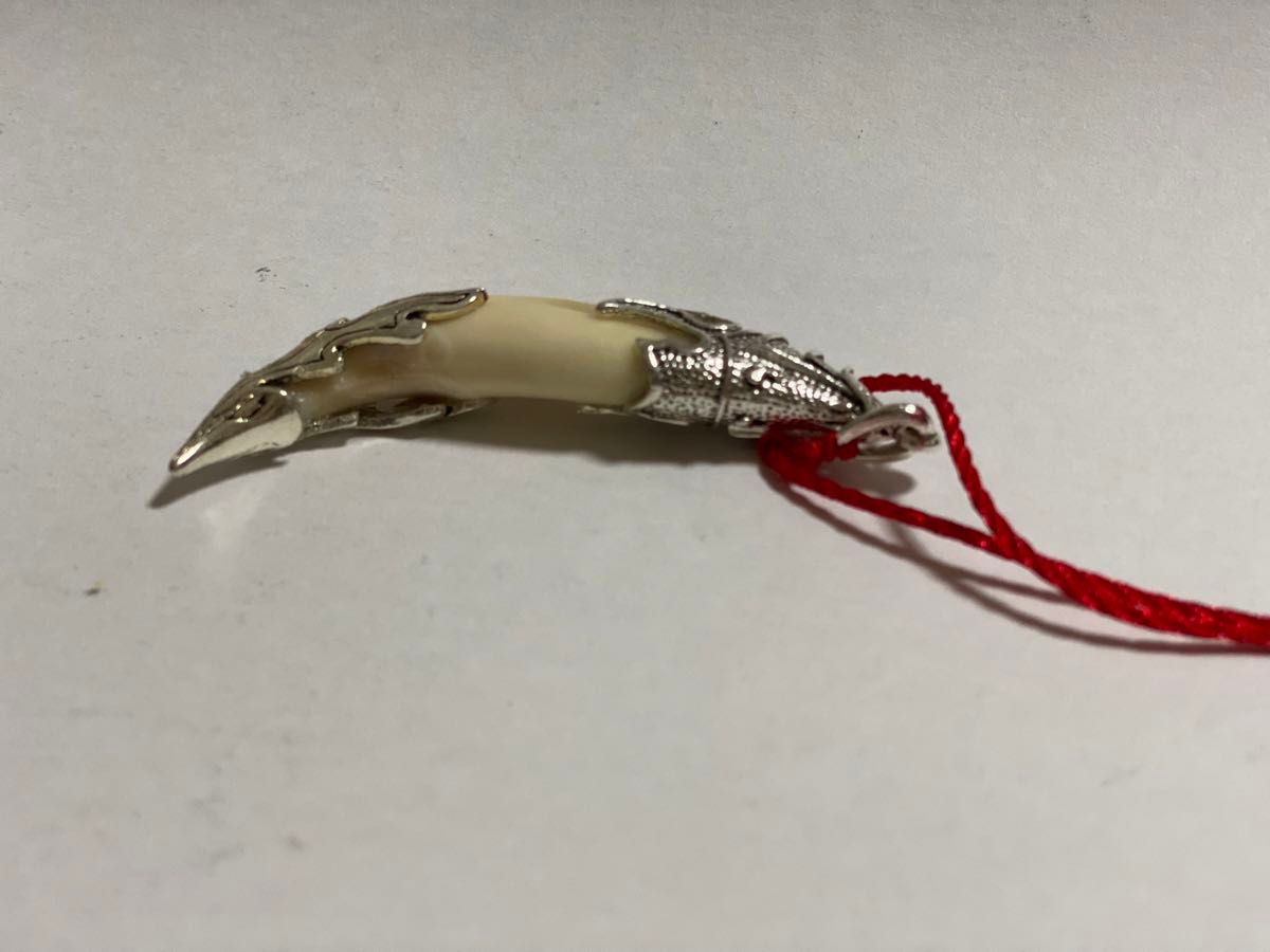 熊牙 ツキノワグマ熊の牙 ネックレス キーホルダー｜Yahoo!フリマ（旧