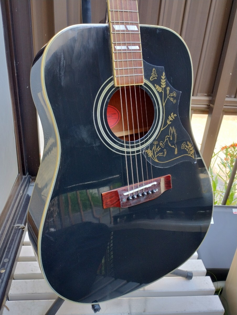 超美品 ブラック ハミングバード ピアノブラック PU付きエレアコ 超美