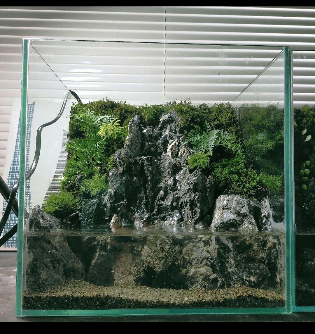 砂の滝の流れるアクアテラリウム アクアリウム zyz 砂の滝の流れる